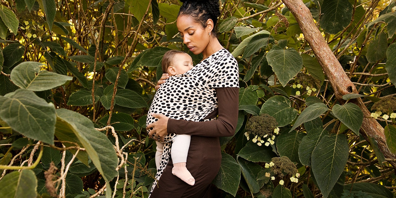 An illustrative sketch of a flower